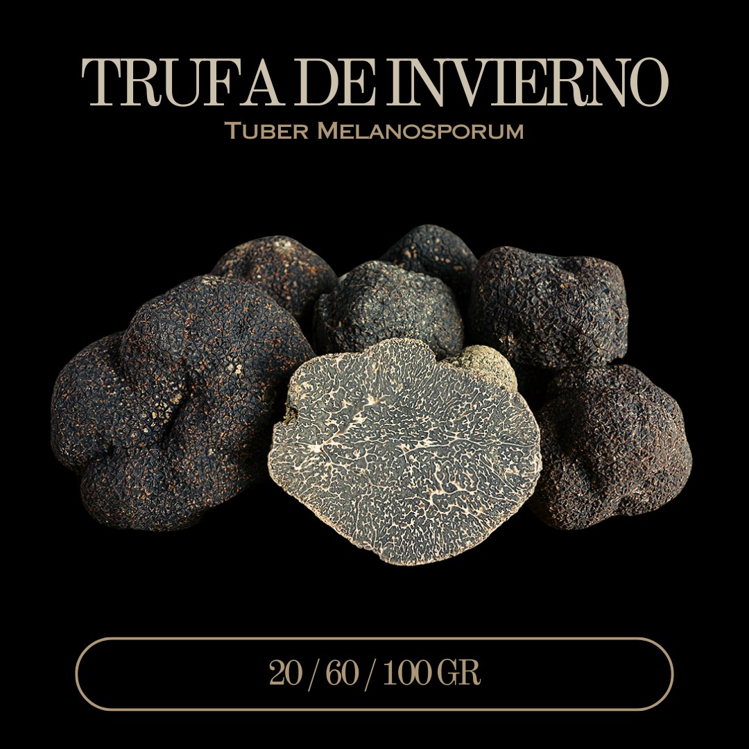 Trufa Negra 1kg Oro Negro Culla